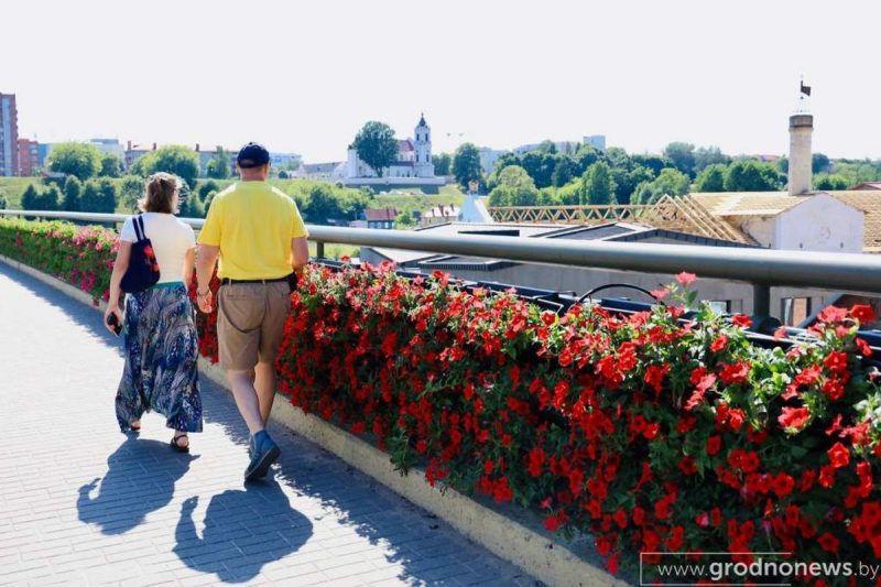 Так цветочная стена на мосту в гродно выглядела в начале лета.