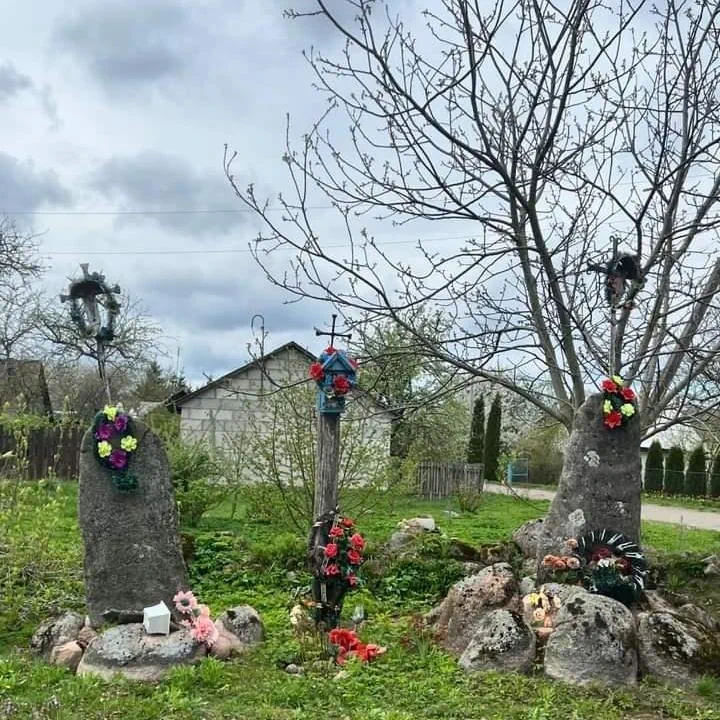 Кресты вблизи деревни Дайлидки Гродненского района, посвященные восстанию. Фото представлены героиней