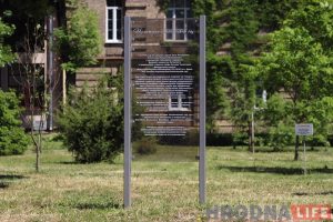 Шмат размоваў, але мала справаў: у гарвыканкаме абмеркавалі лёс батанічнага сада ў Гродне Шмат размоваў, але мала справаў: у гарвыканкаме абмеркавалі лёс батанічнага сада ў Гродне