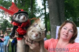 "Сабакі з катамі і побач не стаяць". У парку Жылібера знаёмілі гродзенцаў з тхарамі "Сабакі з катамі і побач не стаяць". У парку Жылібера знаёмілі гродзенцаў з тхарамі