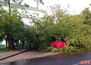 Моцны вецер валіў у Гродне дрэвы: ёсць пашкоджаныя машыны Моцны вецер валіў у Гродне дрэвы: ёсць пашкоджаныя машыны