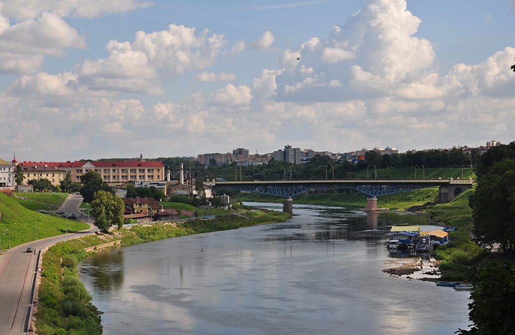 Цела плыло па рацэ: ратавальнікі выявілі ў Нёмане тапельца