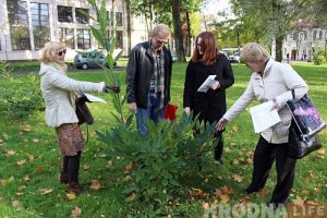 Нечаканая знаходка ў парку Жылібера: на месцы скрадзеных ядомых каштанаў растуць новыя Нечаканая знаходка ў парку Жылібера: на месцы скрадзеных ядомых каштанаў растуць новыя