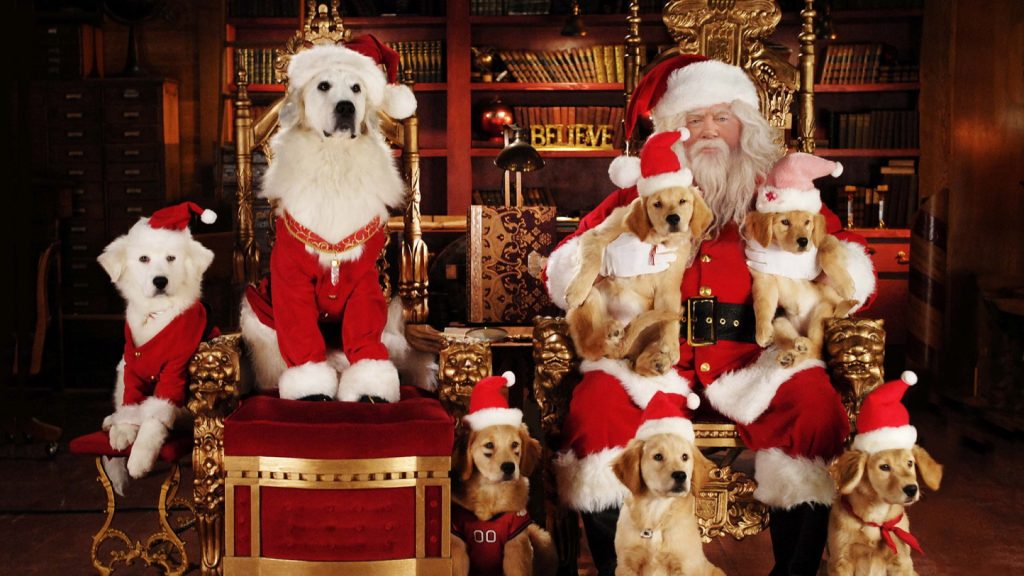 У Гродне сабакі выйдуць на пераднавагодні парад