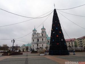 Конусы ці дрэўцы? Як выглядаюць цэнтральныя елкі ў Гродне і суседніх гарадах