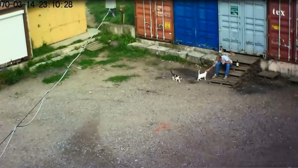 Гродзенскія зааабаронцы шукаюць мужчыну, які забіў на вуліцы ката Гродзенскія зааабаронцы шукаюць мужчыну, які забіў на вуліцы ката