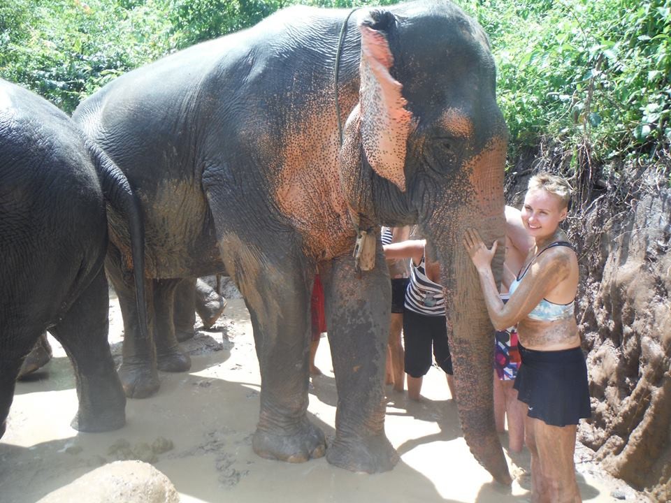 «Хобот коснулся моего сердца». Как гродненка заботилась о слонах в Таиланде