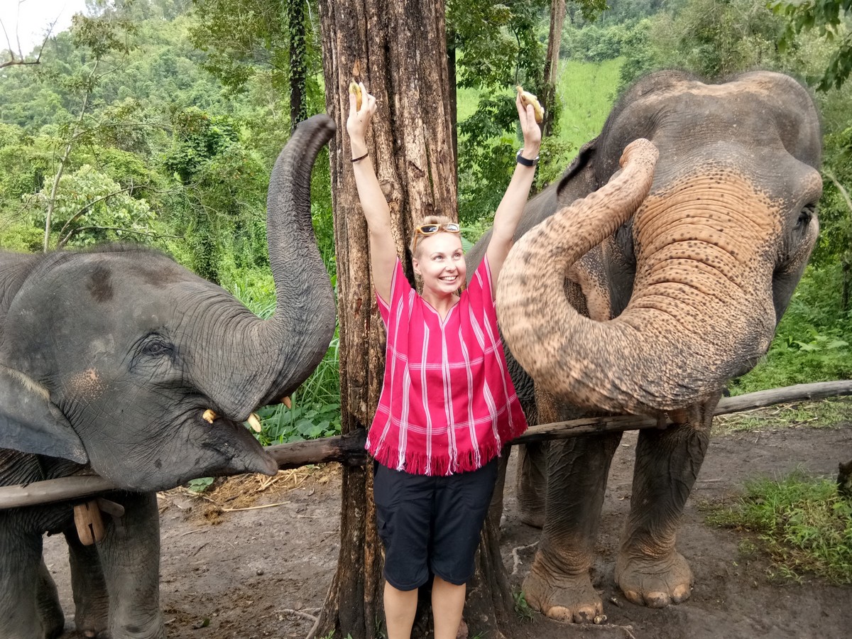 слоны в Тайланде