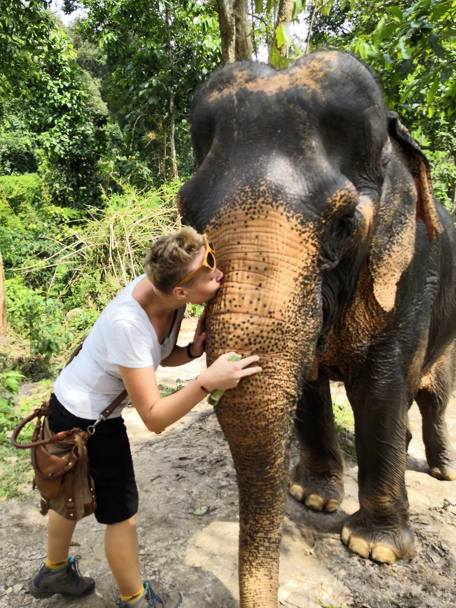 отдых со слонами в Тайланде