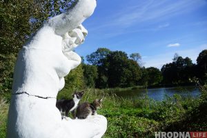 Паветраныя замкі і патрыятычныя коцікі. Як актывісты спрабуюць аднавіць палац Храптовічаў у Шчорсах