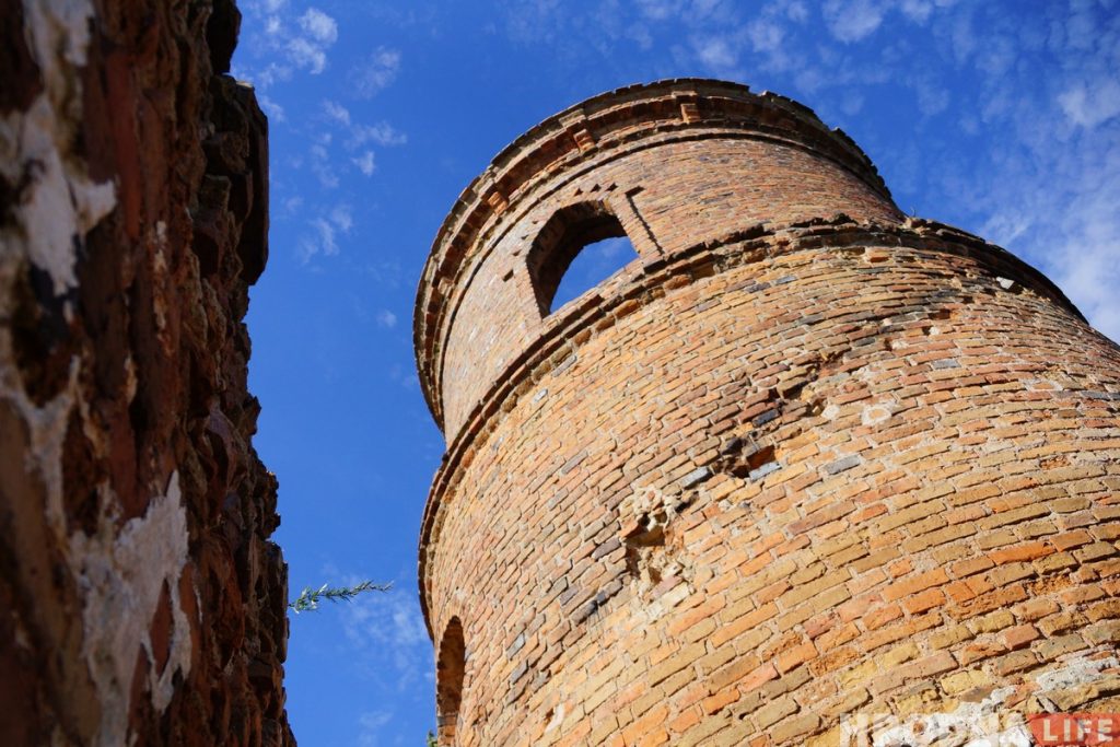 Паветраныя замкі і патрыятычныя коцікі. Як актывісты спрабуюць аднавіць палац Храптовічаў у Шчорсах