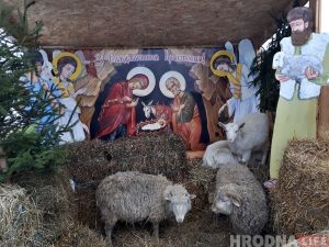 «Упершыню я прыехаў у Гродна на ровары». Арцыбіскуп Тадэвуш Кандрусевіч наведаў свята ў Альшанцы (+анекдот ад мітрапаліта) «Упершыню я прыехаў у Гродна на ровары». Арцыбіскуп Тадэвуш Кандрусевіч наведаў свята ў Альшанцы (+анекдот ад мітрапаліта)