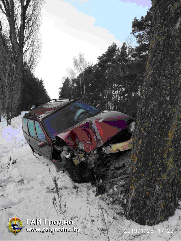 Кіроўца ўрэзаўся ў дрэва і спрабаваў перакласці віну на жонку Кіроўца ўрэзаўся ў дрэва і спрабаваў перакласці віну на жонку
