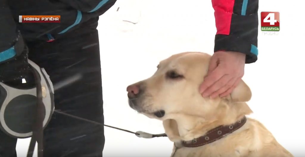 У студзені ў Гродне зафіксаваныя ўкусы кляшчоў У студзені ў Гродне зафіксаваныя ўкусы кляшчоў