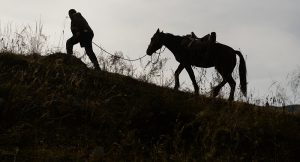 Трое хлопцаў скралі са склада амаль тону збожжа. Іх затрымалі проста ў цэнтры Гродна