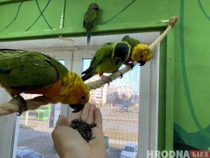 "Нашы довады не былі пачутыя". Аб'яднанне "Экаманіторынг" у Гродне ліквідавалі