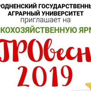 «Агравясна - 2019». Сельскагаспадарчы кірмаш «Агравясна - 2019». Сельскагаспадарчы кірмаш