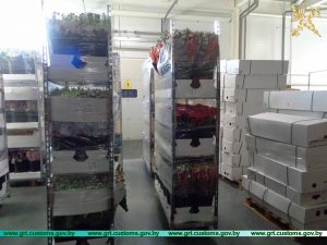 У Літве за два месяцы затрымалі палову абароту цыгарэт за 2019 год У Літве за два месяцы затрымалі палову абароту цыгарэт за 2019 год