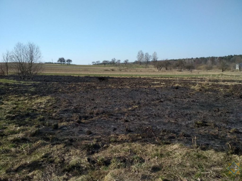 У Гродзенским раёне сярод спаленай травы знайшлі загінулага мужчыну