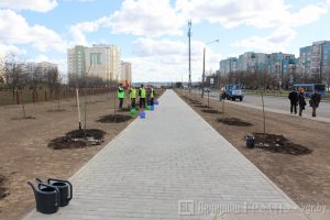 «Плаці, калі выкідваеш». Як беларуска сартавала смецце ў шасці краінах свету «Плаці, калі выкідваеш». Як беларуска сартавала смецце ў шасці краінах свету