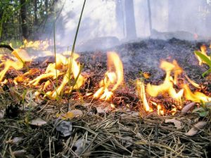 У Гродзенскай вобласці стаіць пах гару — прычын можа быць некалькі  У Гродзенскай вобласці стаіць пах гару — прычын можа быць некалькі