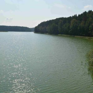 Пакатушка "Парэчча па лясных сцежках" з ВелаГродна Пакатушка "Парэчча па лясных сцежках" з ВелаГродна