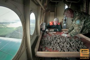 У Гродзенскай вобласці ад укусаў кляшчоў пацярпела 200 чалавек