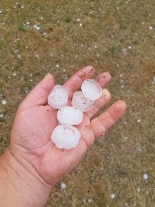У Гродзенскай вобласці ўведзена забарона на наведванне лясоў у шасці раёнах У Гродзенскай вобласці ўведзена забарона на наведванне лясоў у шасці раёнах