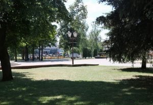 Пекла па-гродзенску. Як дрэвы маглі б уратаваць нас ад спёкі, але іх не хапае