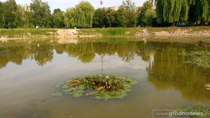 У гродзенскіх паліклініках усталёўваюць кантэйнеры для пратэрмінаваных лекаў