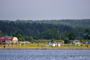 У Лідзе другі раз за год зацвілі каштаны У Лідзе другі раз за год зацвілі каштаны