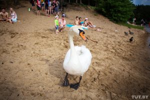 Белгідрамет абвясціў аранжавы ўзровень небяспекі з-за спёкі. Што рабіць? Белгідрамет абвясціў аранжавы ўзровень небяспекі з-за спёкі. Што рабіць?