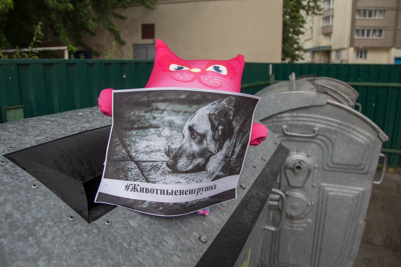 В Гродно выкидывают на мусорки плюшевые игрушки, чтобы поддержать бездомных животных