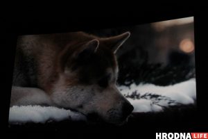 «Я заўсёды была модніцай». Вазочніца з Гродна збіраецца на конкурс прыгажосці «Я заўсёды была модніцай». Вазочніца з Гродна збіраецца на конкурс прыгажосці