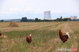 "Мае атамы задаволеныя". Школу, садок, бальніцу і ядзернае паліва чакаюць у Астраўцы гэтай восенню