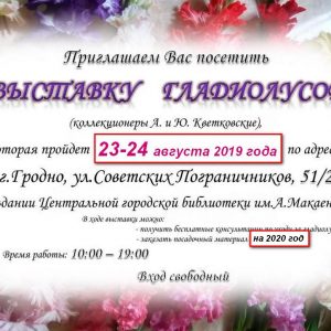 Выстава гладыёлусаў Выстава гладыёлусаў