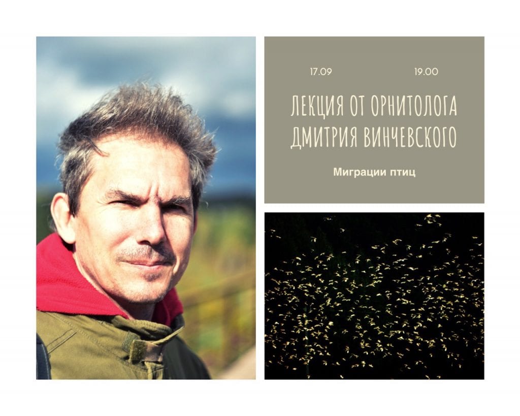 Чаму адлятаюць птушкі і як вяртаюцца? Арнітолаг правядзе лекцыю-прэзентацыю ў Гродне