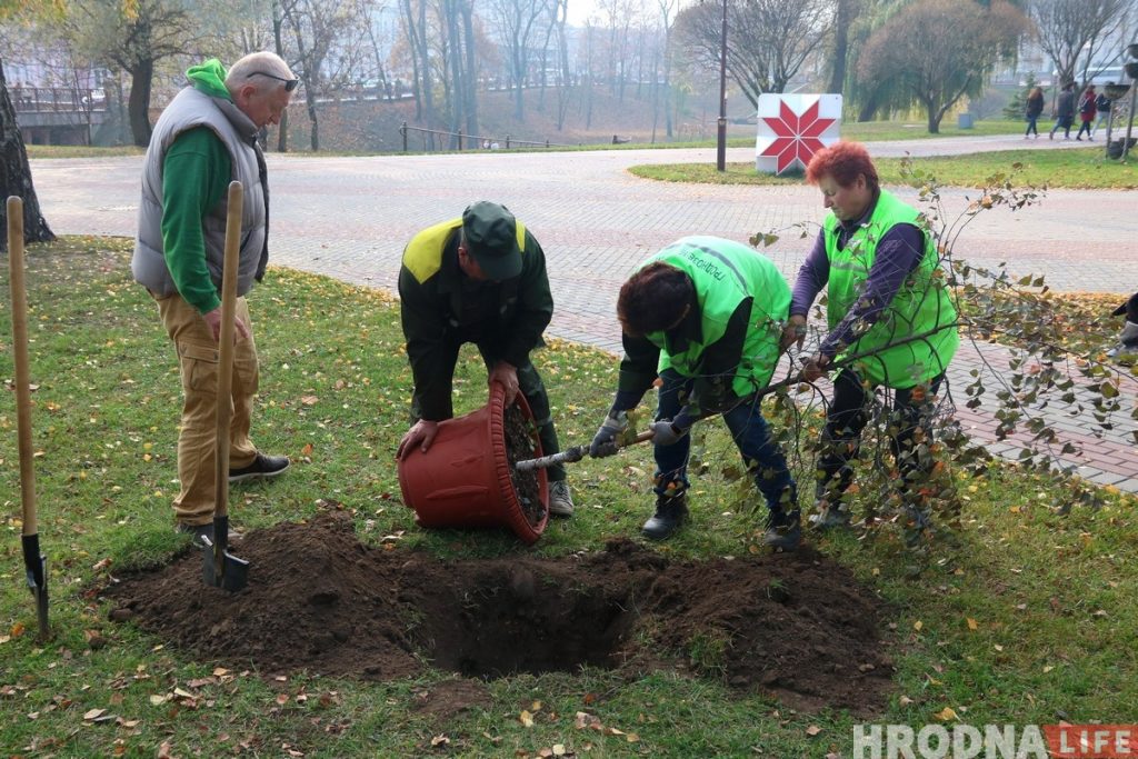 «Аддаў даўжок Наталлі Канюк». Батанічны сад у парку Жылібера папоўніўся новымі дрэвамі ботанический сад, парк Жилибера, Канюк