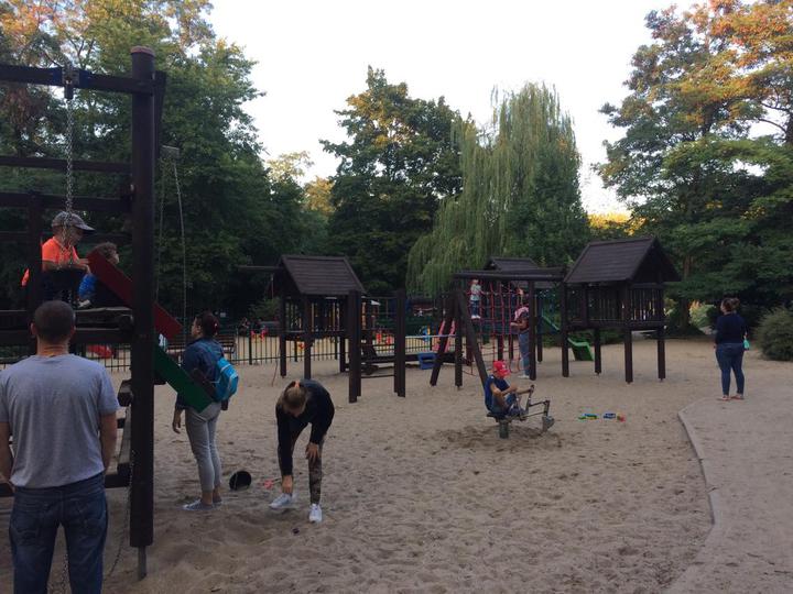 «Калі б я быў мэрам». Мечыслаў марыць аб «жывым» Новым Свеце, дарослых дрэвах і вялікай дзіцячай пляцоўцы