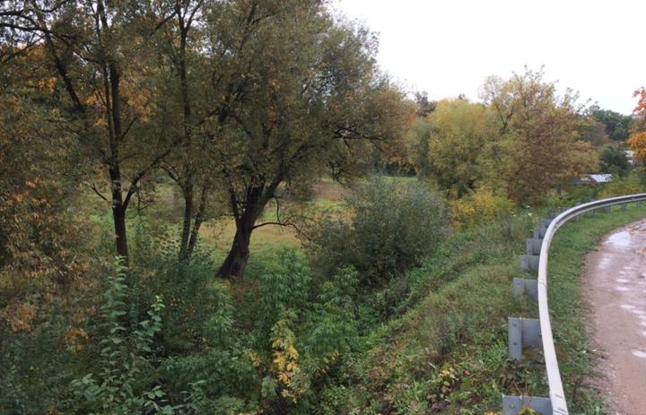 «Дикая» долина Городничанки занимает огромную площадь в сердце города и никак не используется в городской среде