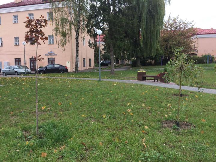 «Калі б я быў мэрам». Мечыслаў марыць аб «жывым» Новым Свеце, дарослых дрэвах і вялікай дзіцячай пляцоўцы