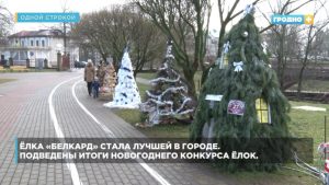 У Гродне абралі найлепшую ялінку горада. А некаторыя дыскваліфікавалі ёлка