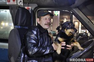 Здымае стрэс і грэе сядзенне: як сабака Мульцік возіць людзей з Гродна ў Баранавічы