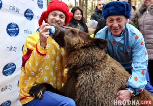 «Хобат закрануў маё сэрца». Як гродзенка клапацілася пра сланоў у Тайландзе Жывы мядзведзь на Масленіцы Живой медведь на Масленице