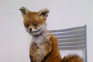 Фота: memepedia.ru