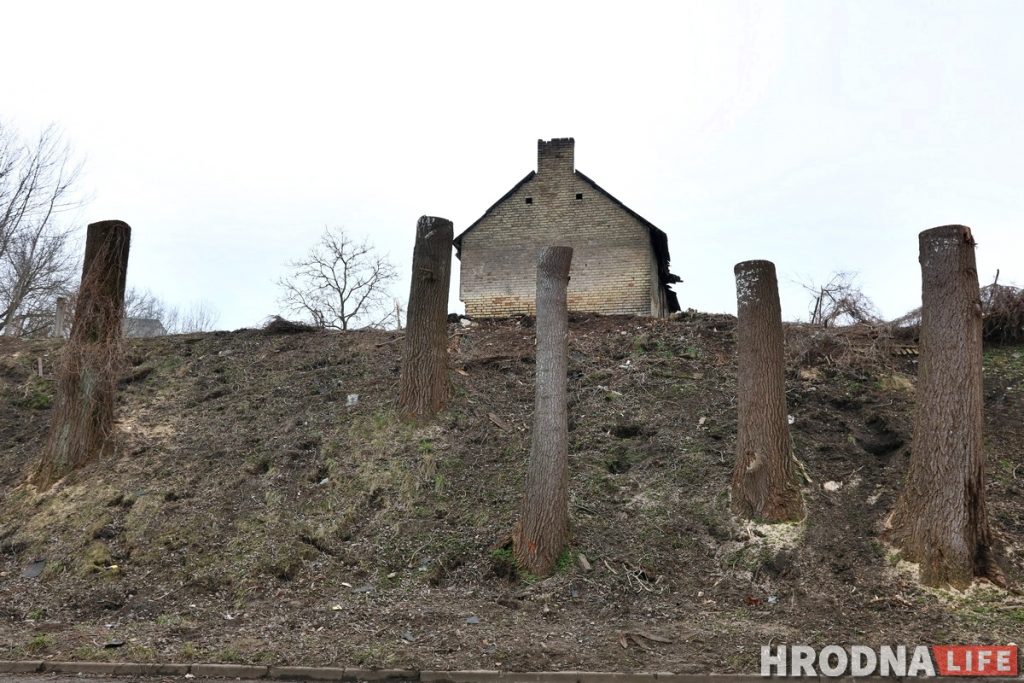 Участак з відам на замкі: навошта на Леванабярэжнай спілавалі старыя таполі?