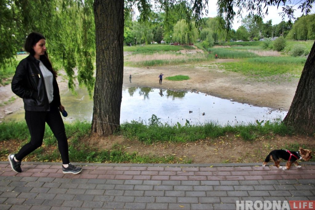 Пішуць, што сажалку на Рэпіна засыпаюць. Каментуе дэпутат Пішуць, што сажалку на Рэпіна засыпаюць. Каментуе дэпутат