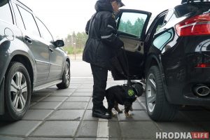 "Небывалы рост продажаў": беларусы рыхтуюцца да новых абмежаванняў увозу Праверка на беларускай мяжы.