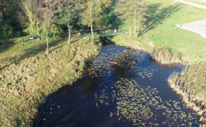 рыба берестовица