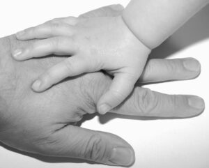 Гродзенца прывязалі скотчам да дрэва сябры яго былой жонкі, каб выгнаць з лецішча Гродзенца прывязалі скотчам да дрэва сябры яго былой жонкі, каб выгнаць з лецішча